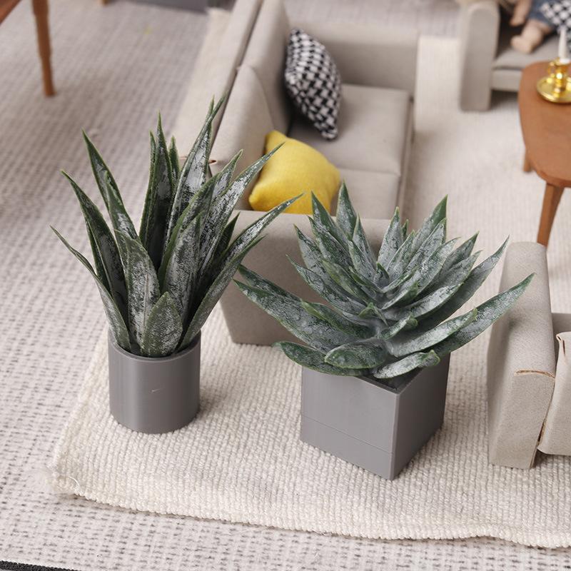 Miniature Aloe Vera Potted Pla - Aloe Vera Pot ulasan dan harga