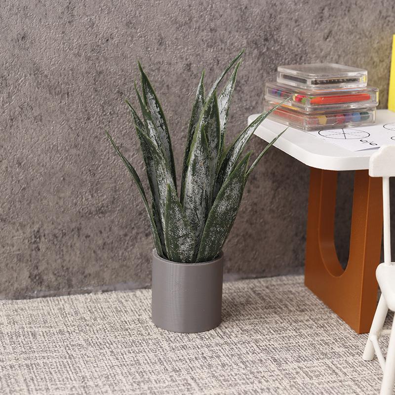 Miniature Aloe Vera Potted Pla - Aloe Vera Pot ulasan dan harga