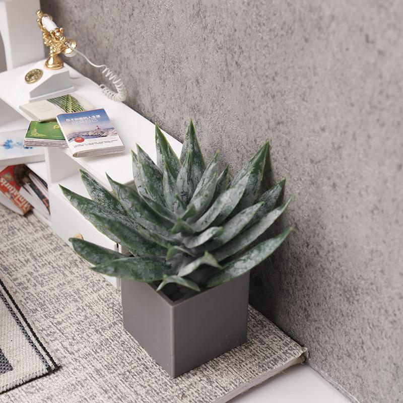 Miniature Aloe Vera Potted Pla - Aloe Vera Pot ulasan dan harga