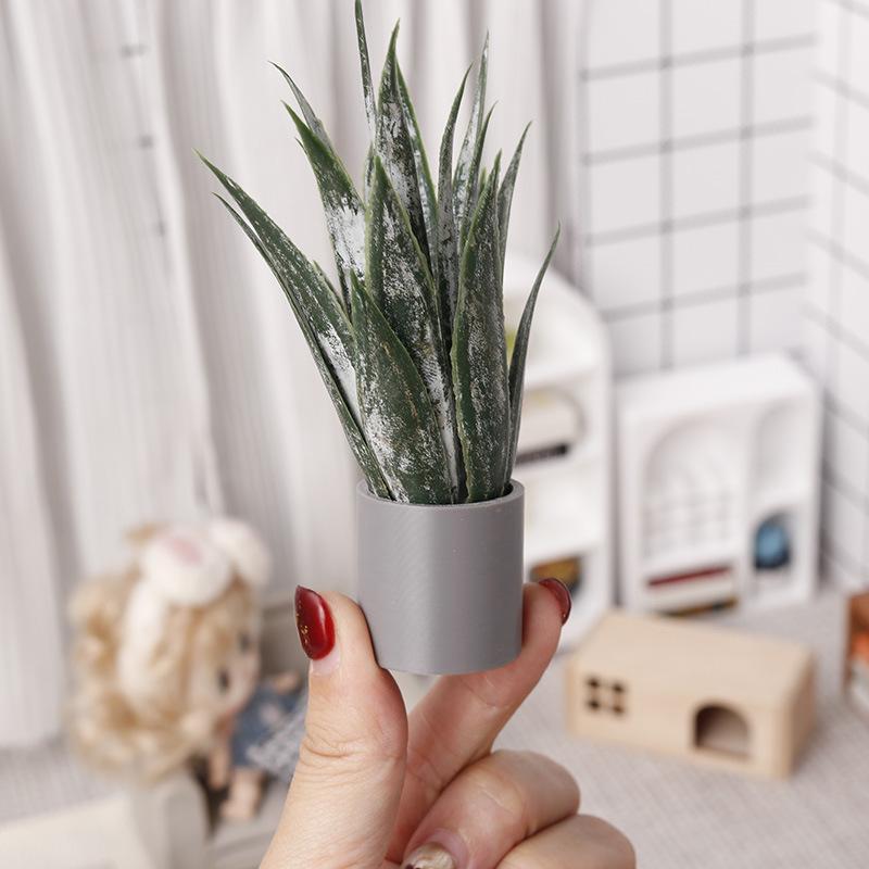 Miniature Aloe Vera Potted Pla - Aloe Vera Pot ulasan dan harga