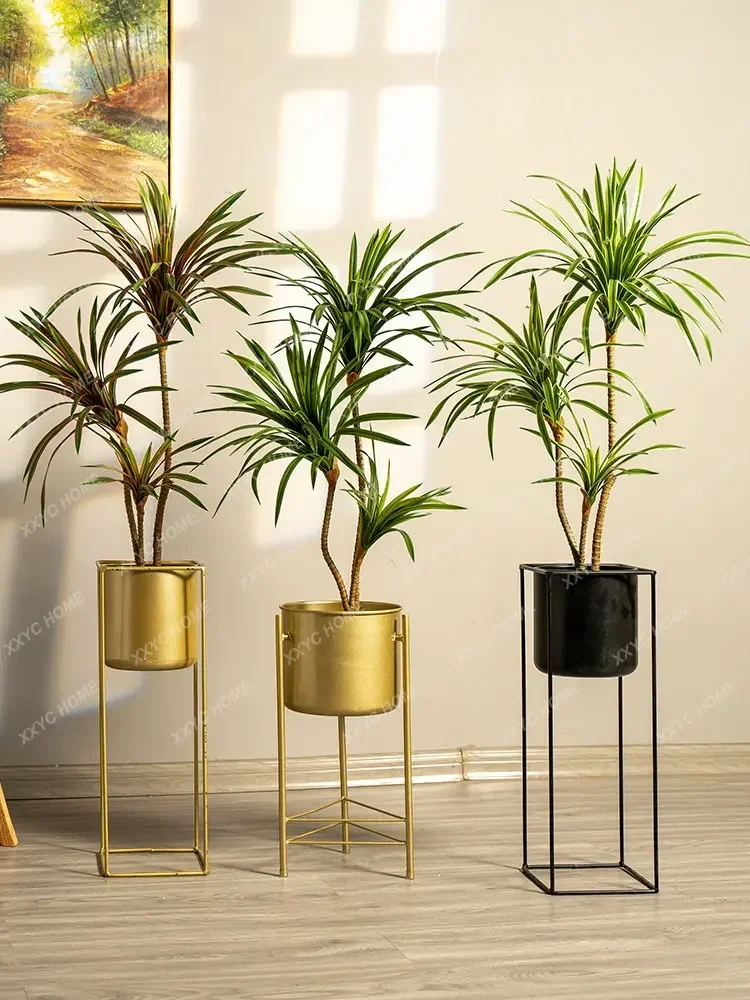 Simulation Colorful Ponytail I - Dracaena Marginata ulasan dan harga