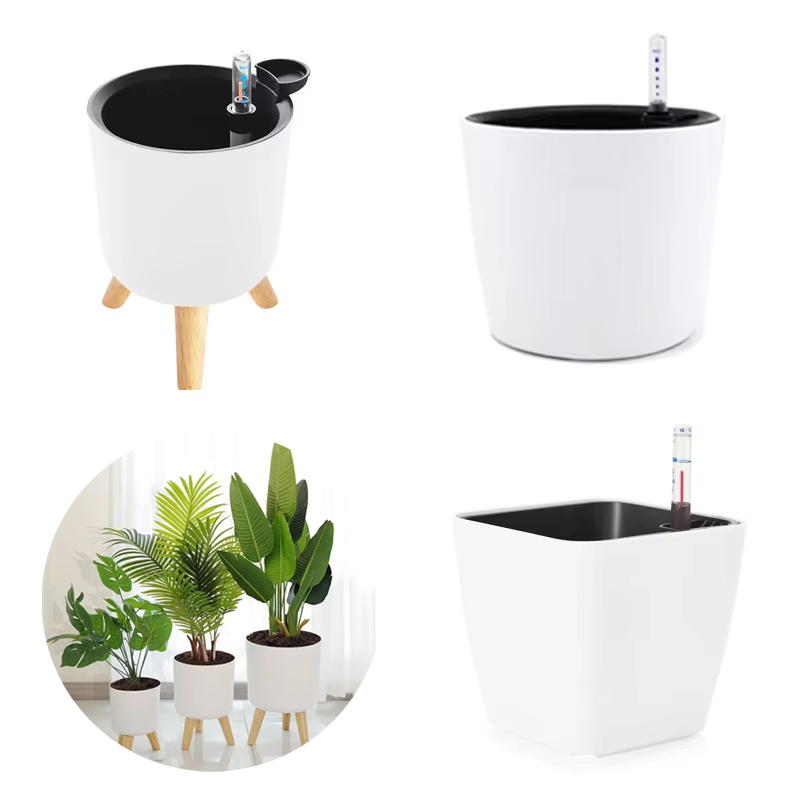 1PC Indoor Plastic Flowerpot S - Aloe Vera Pot ulasan dan harga