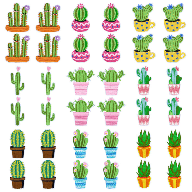 10Pcs/Lot Western Desert Iron  - Aloe Vera Pot ulasan dan harga