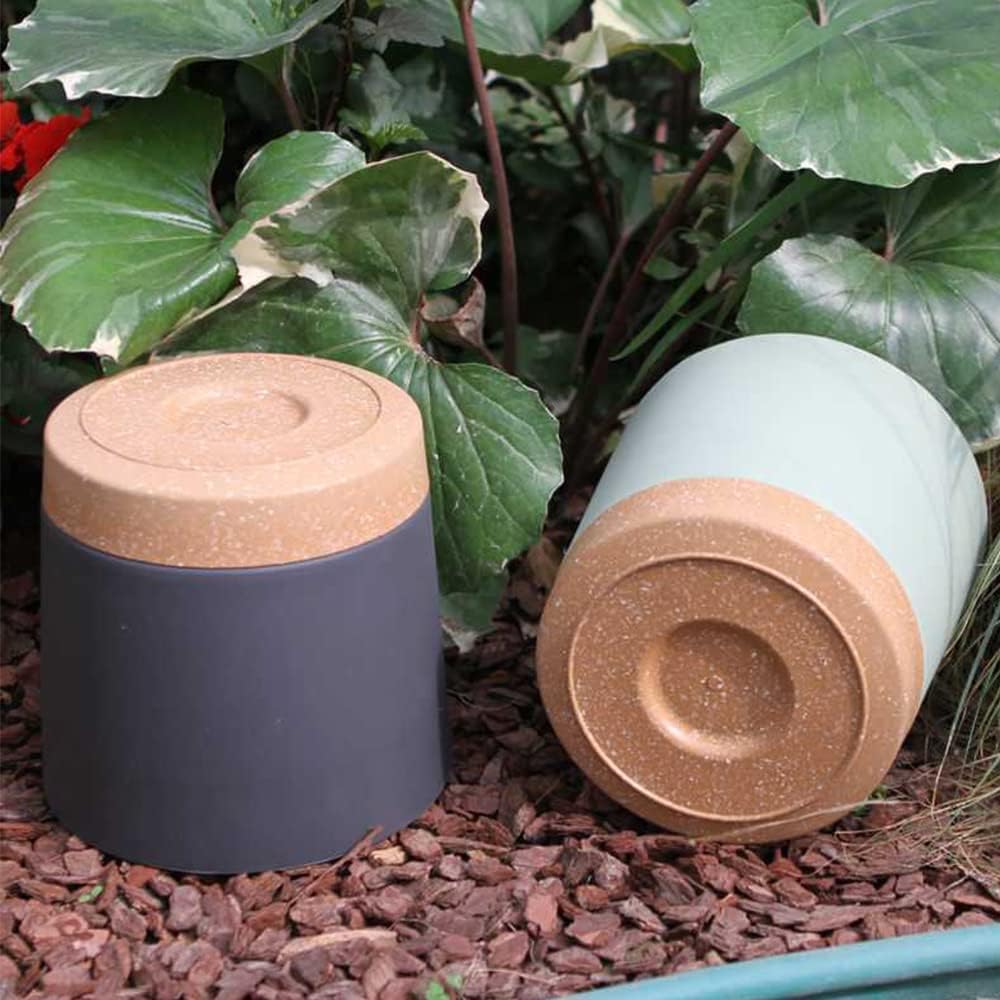 Plant POTS, lightweight Large  - Aloe Vera Pot ulasan dan harga