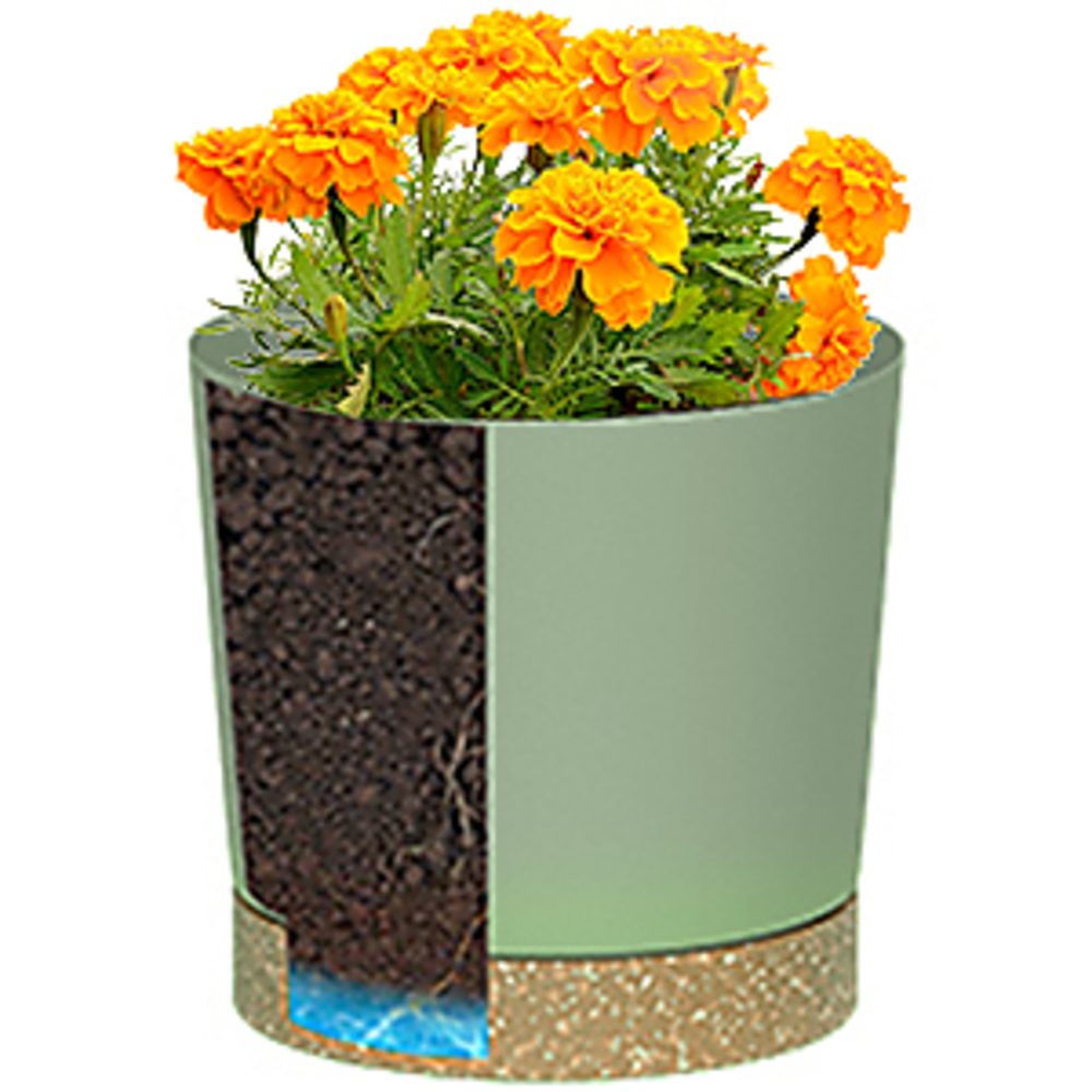 Plant POTS, lightweight Large  - Aloe Vera Pot ulasan dan harga