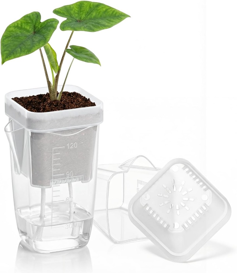 5/1PCS Transparent Self Wateri - Aloe Vera Pot ulasan dan harga