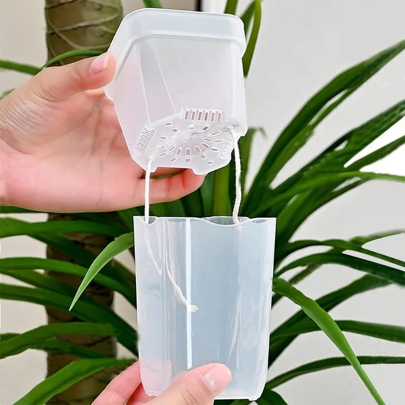 5/1PCS Transparent Self Wateri - Aloe Vera Pot ulasan dan harga