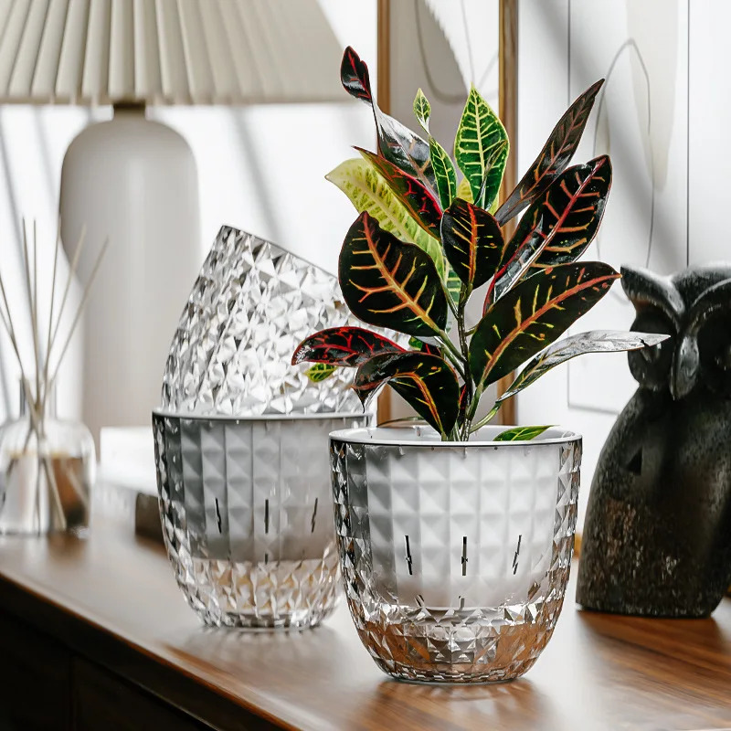 3pcs Transparent Double-Layer  - Aloe Vera Pot ulasan dan harga