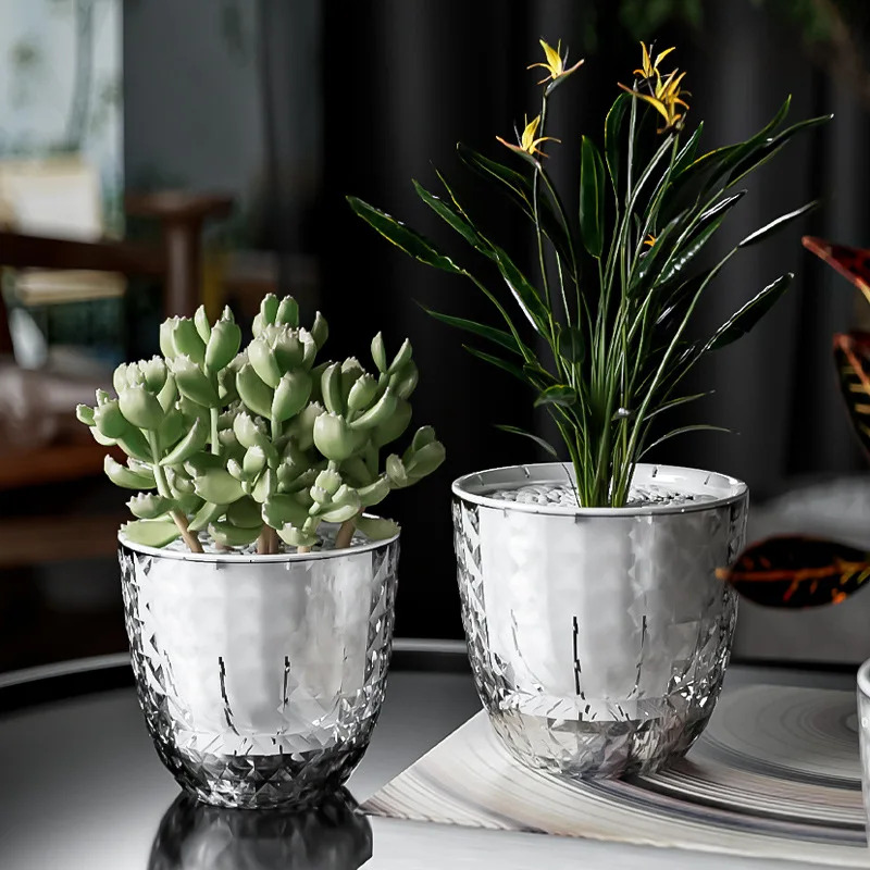 3pcs Transparent Double-Layer  - Aloe Vera Pot ulasan dan harga