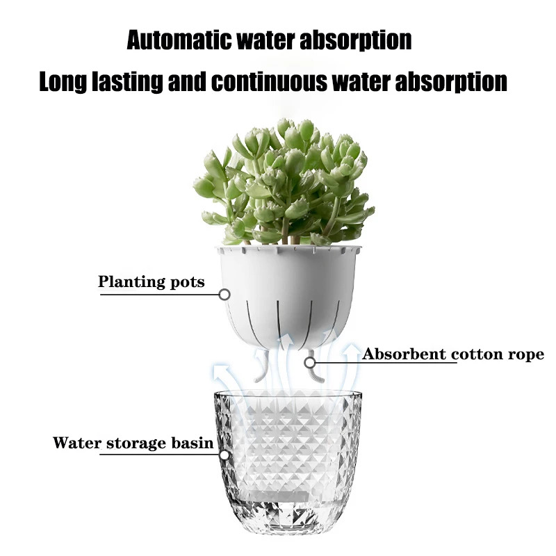 3pcs Transparent Double-Layer  - Aloe Vera Pot ulasan dan harga